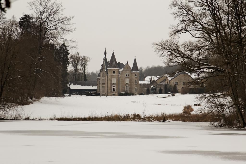 Chateau D'Hassonville 瓦拉日丁 外观 照片