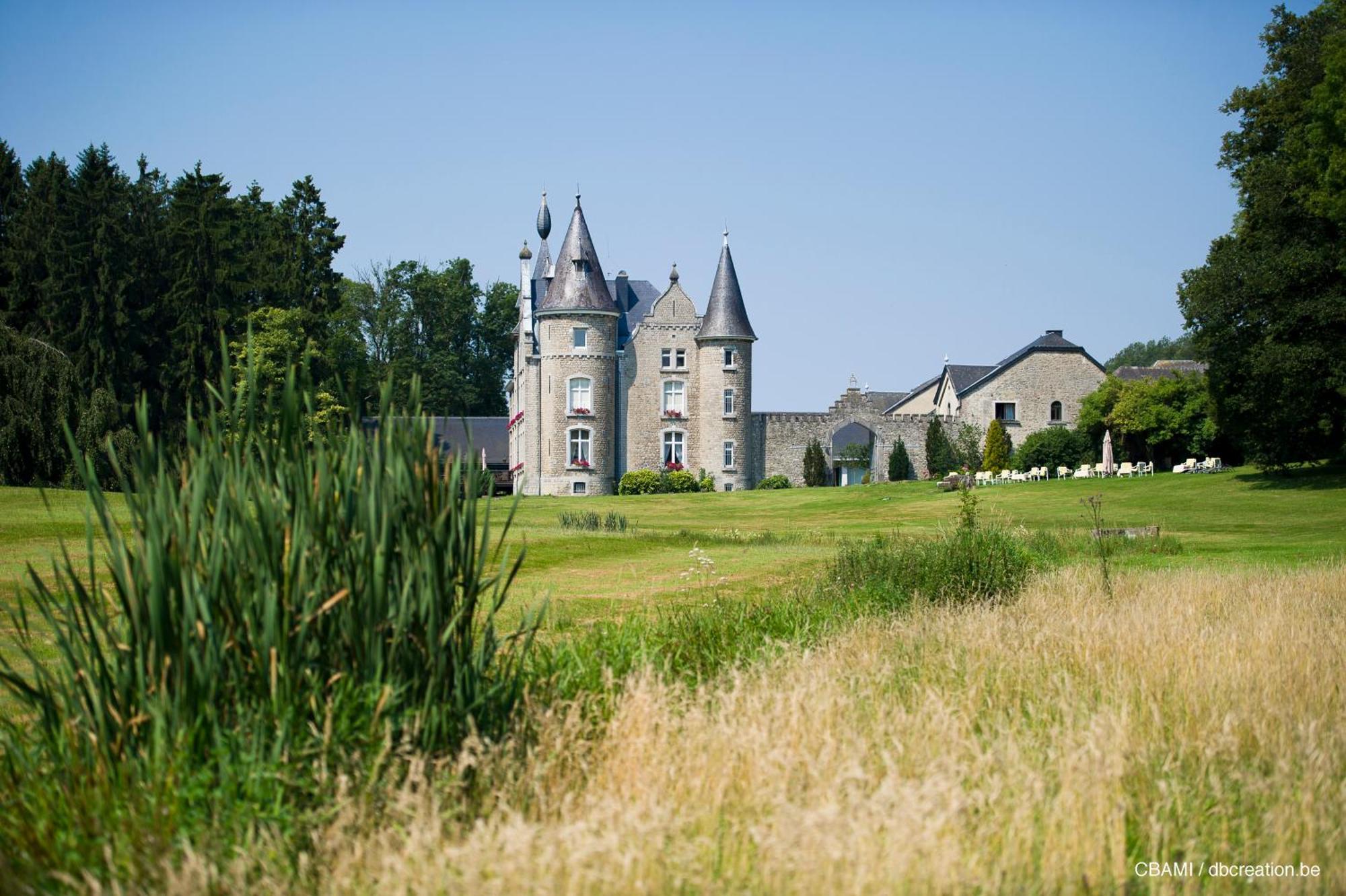 Chateau D'Hassonville 瓦拉日丁 外观 照片